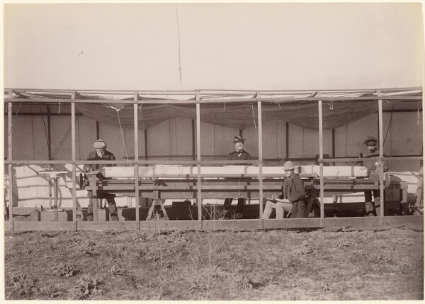 Carleton Watkins, [Yolo Buggy opened to show "Comparing Bars with Standard"]