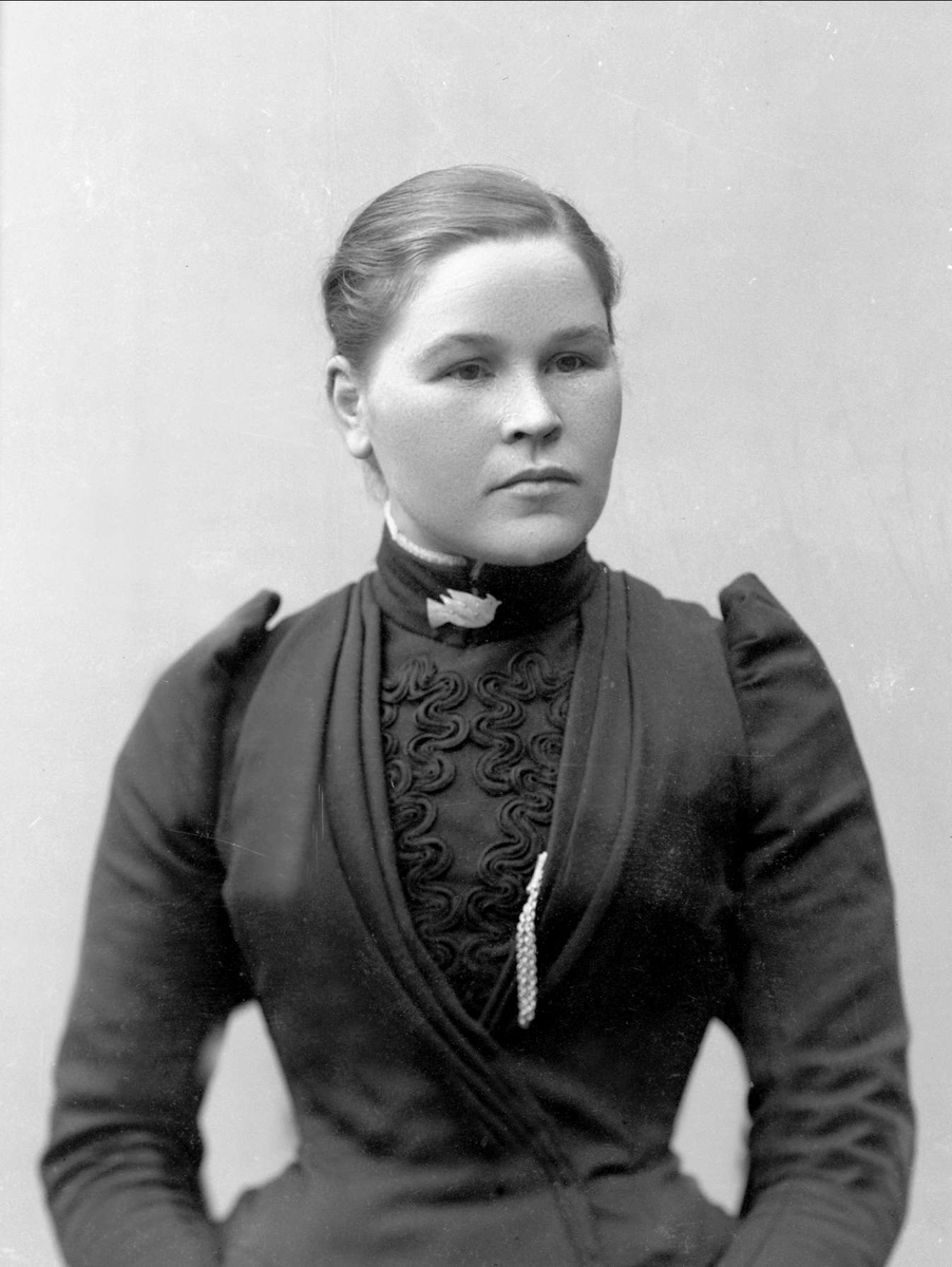 Gustav Borgen, NFB.31581