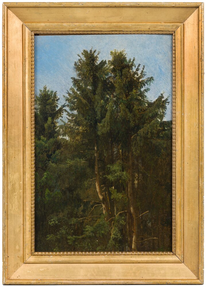 Francesco Solimena, Trees. Study