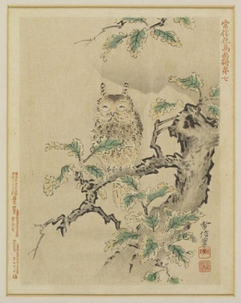 Unknown, Print