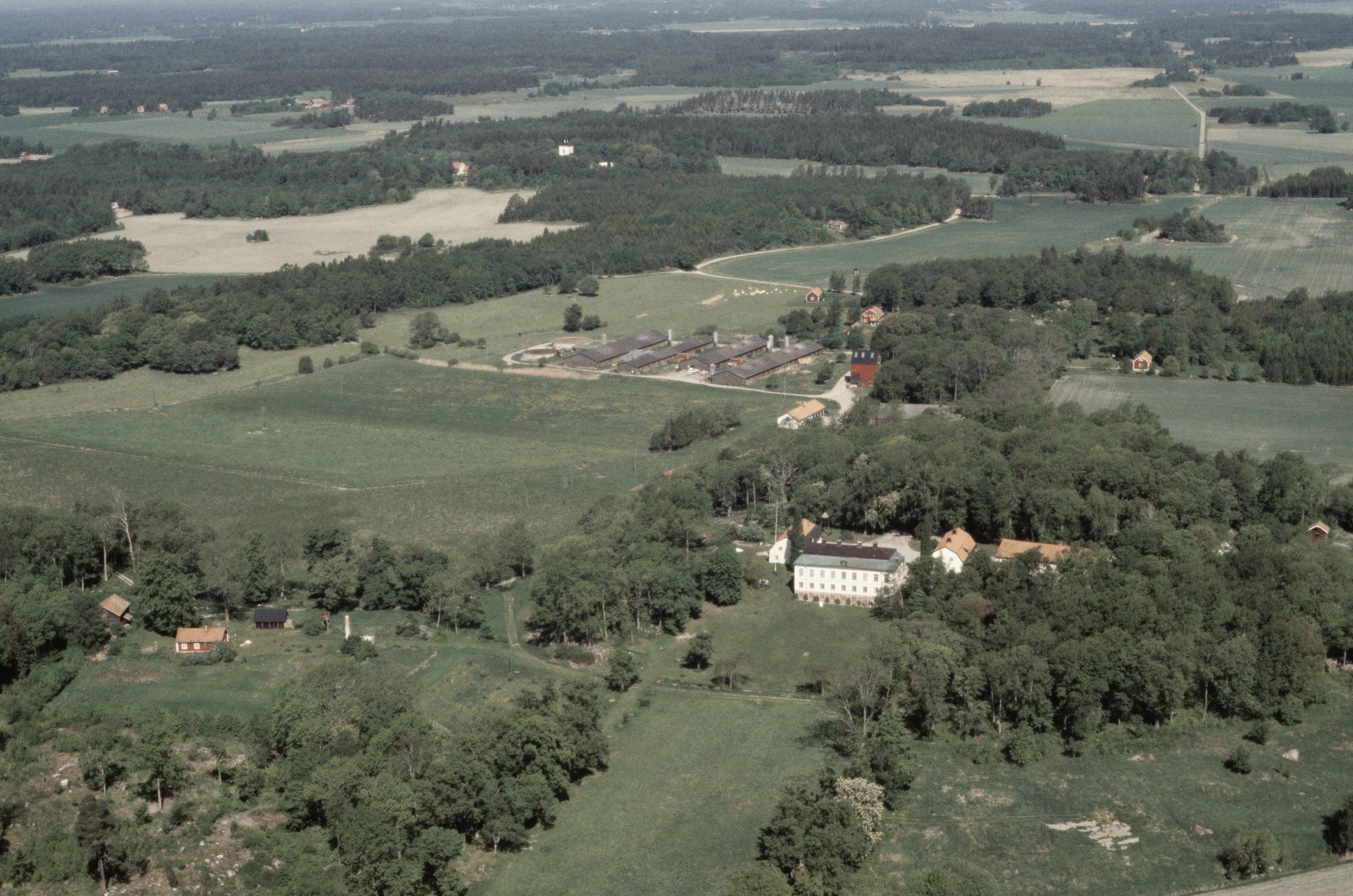 Jan Norrman, Rytterne 223