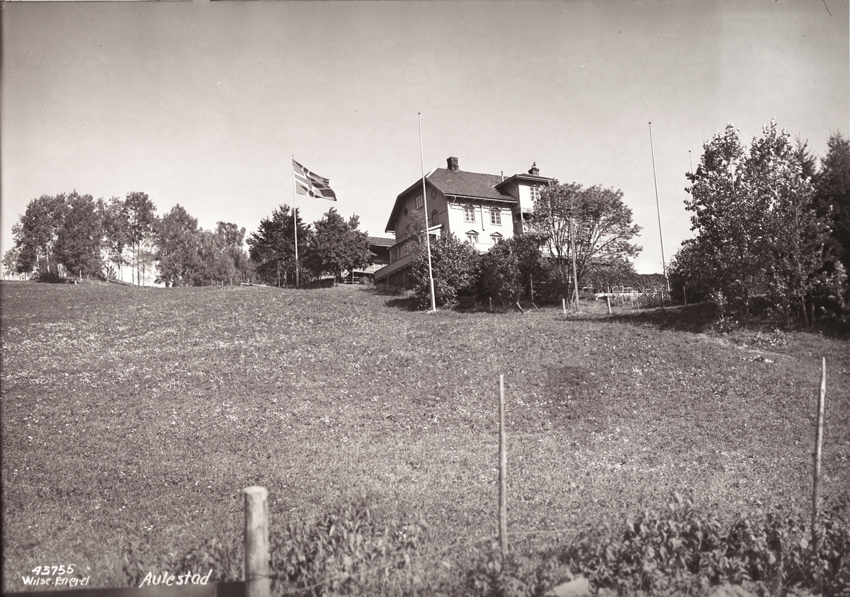 Anders Beer Wilse, Prot: Lillehammer fra Vingnes