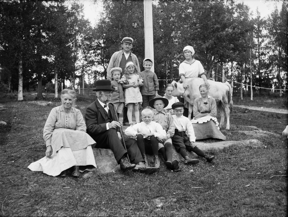 Josef Ärnström, Män, kvinnor, barn och kalv