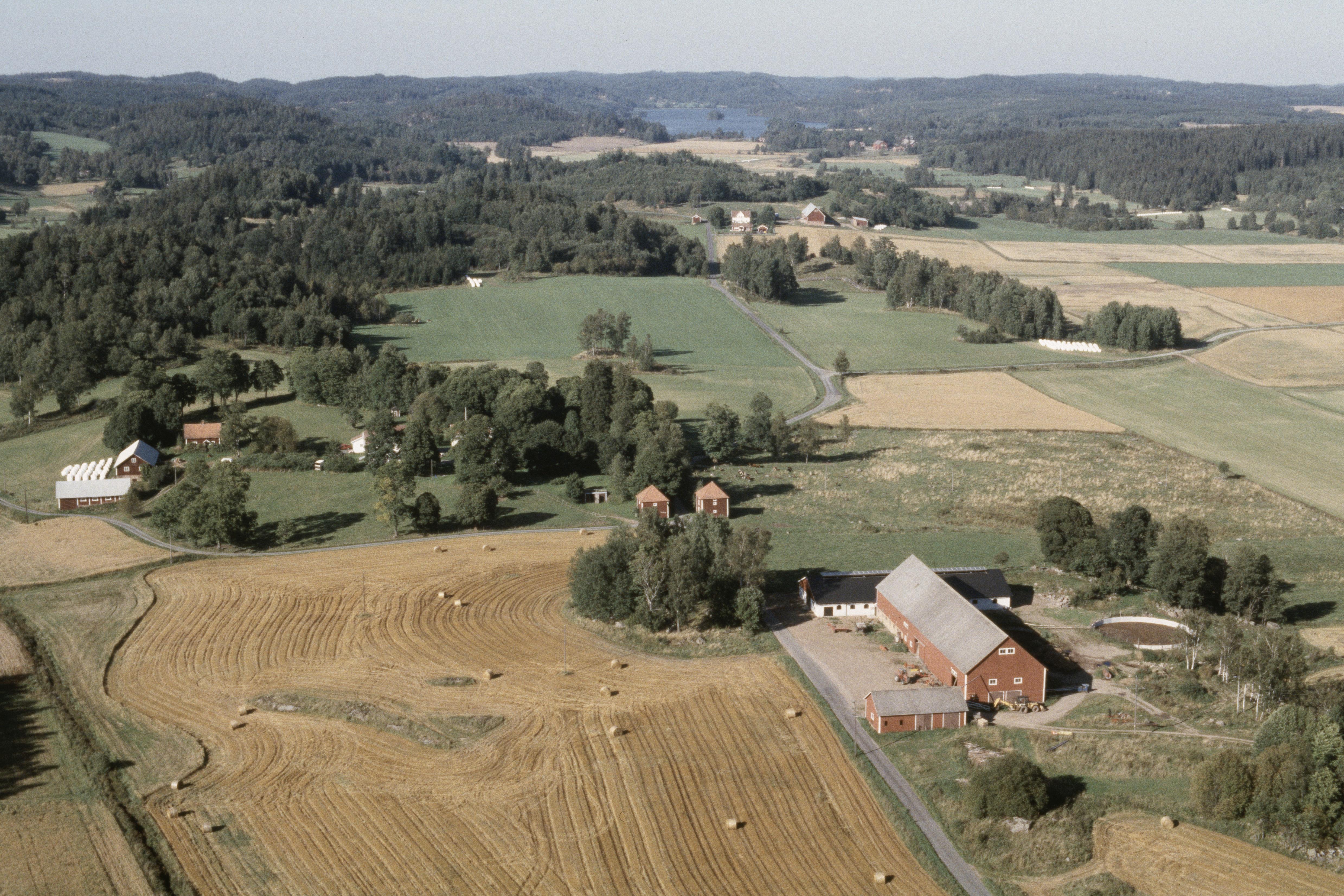 Jan Norrman, Djuvarp