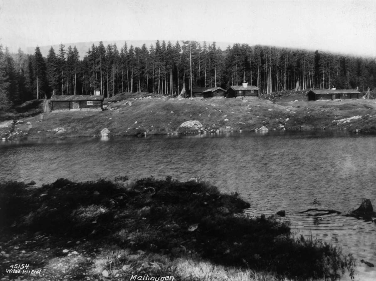 Anders Beer Wilse, Museum, seter, maihaugen, Lillehammer