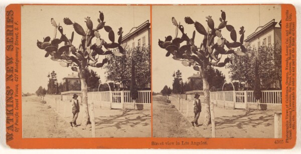 Carleton Watkins, Street view in Los Angeles.