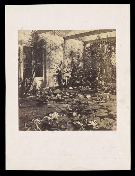 Fenton, Roger, Lily House, Botanic Garden