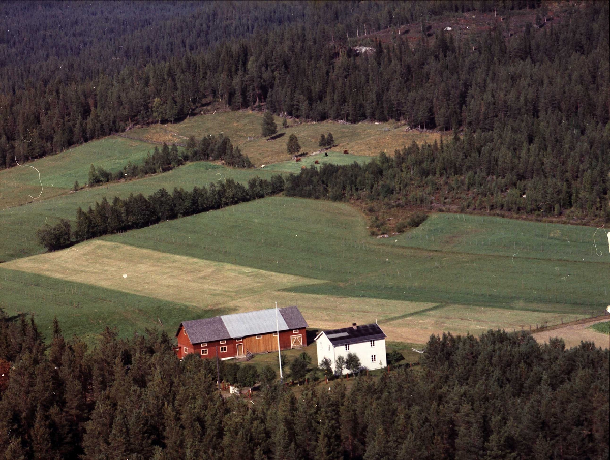 Widerøes Flyveselskap A/S, Gårdsbruk. Brekkli