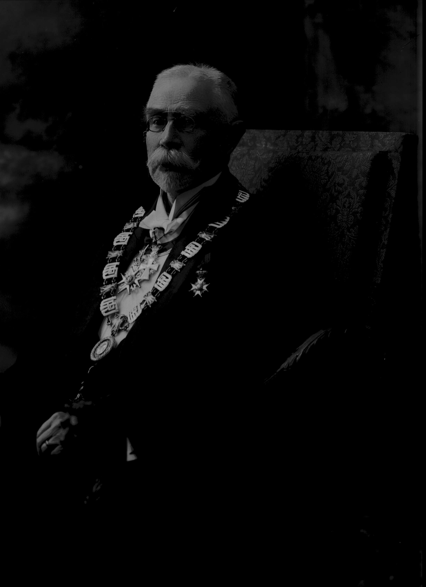 Gustav Borgen, Portrett, rektor ved universitetet i Oslo. Professor Morgenstjerna.