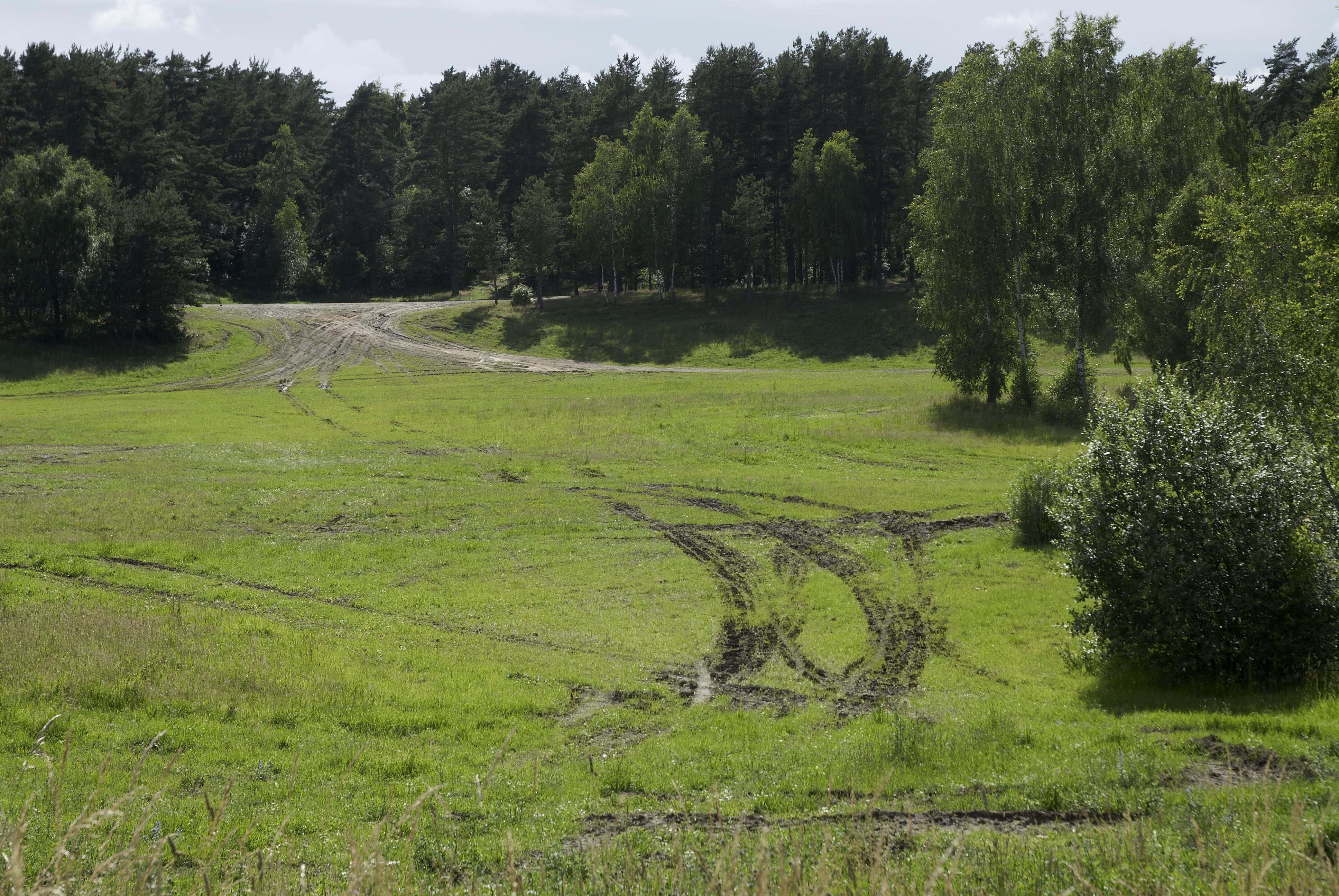 Bengt A Lundberg, Revingehed