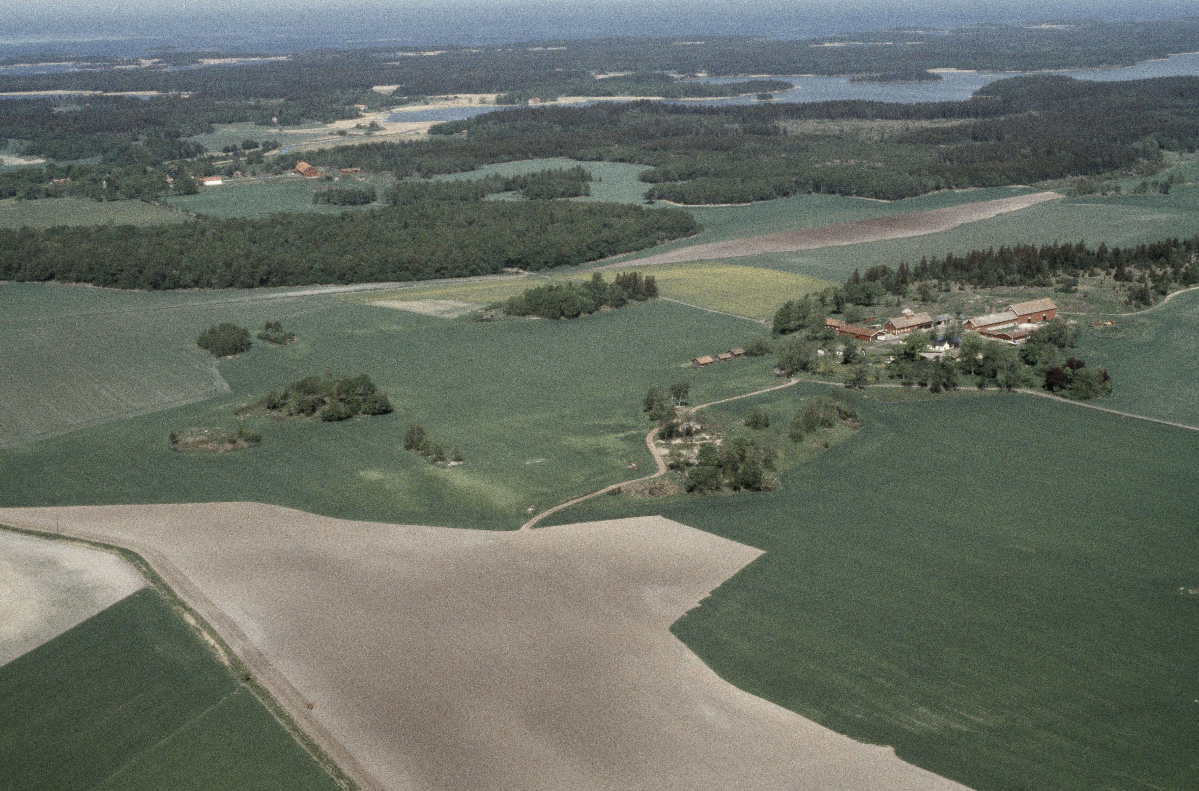 Jan Norrman, Sunnersberg 56:1