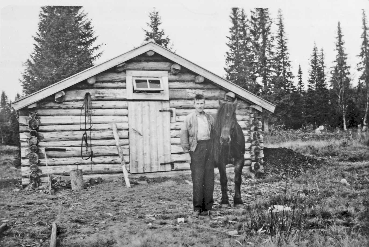 Rachel Haarseth, Person, hest, stall.