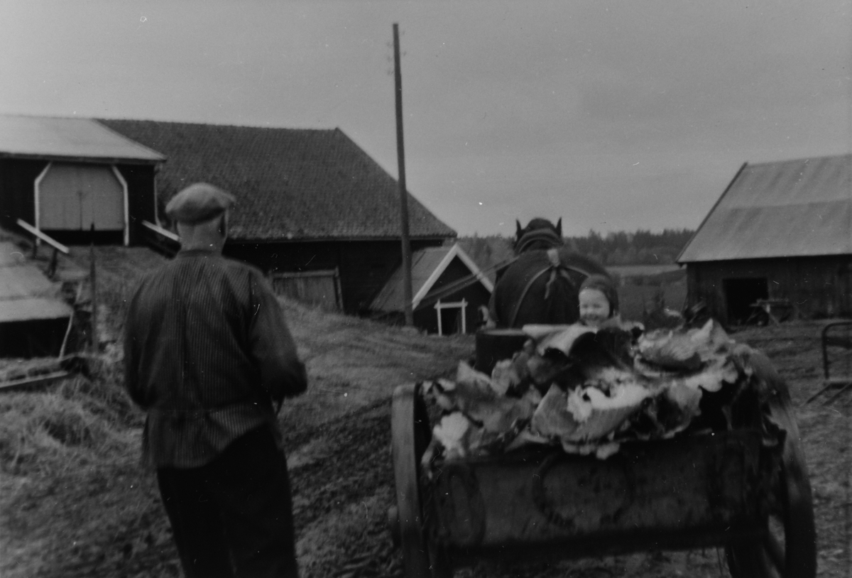 Anno Domkirkeodden, INNKJØRING AV KÅLBLADER MED HEST OG KJERRE, GUSTAV ROGSTAD MED BARNEBARNET ELISABETH ARNOLD, SKRAMSTAD VESTRE, LØTEN