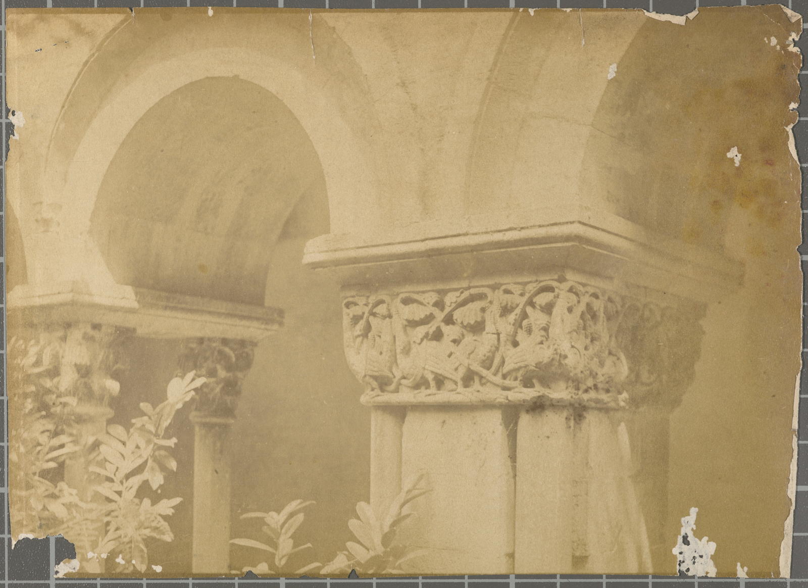 Desconegut, [Cathedral Cloister]