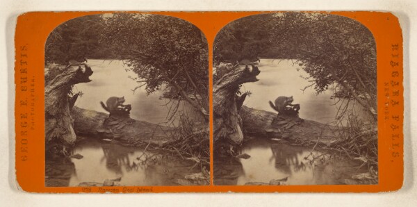 George E. Curtis, Raccoon Goat Island. [Niagara Falls, New York]