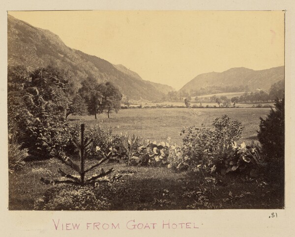 Unknown, View from Goat Hotel