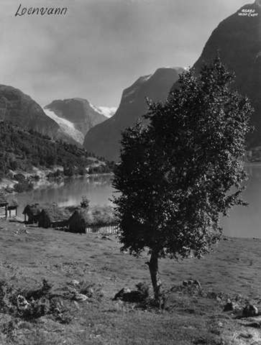 Anders Beer Wilse, -7144