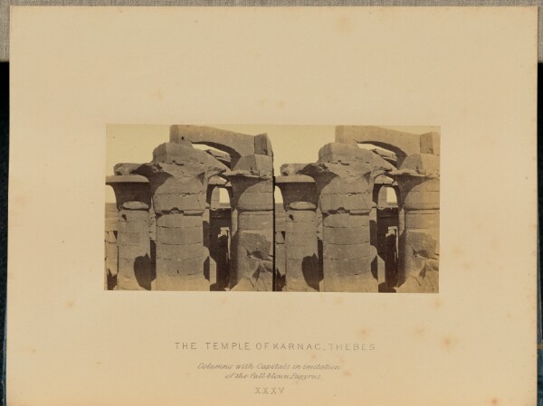 Francis Frith, The Temple of Karnac, Thebes. Columns with Capitals in Imitation of the Full-Blown Papyrus