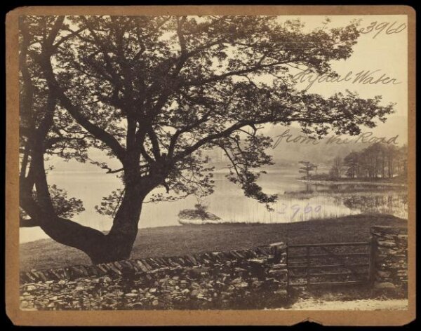 Francis Frith, Photograph