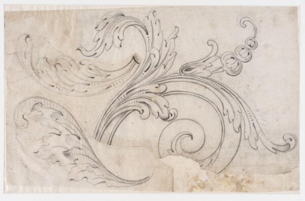 unknown, Drawing