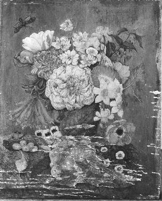 Diëgo Lopez Suasso, Bloemen en vogelnestje