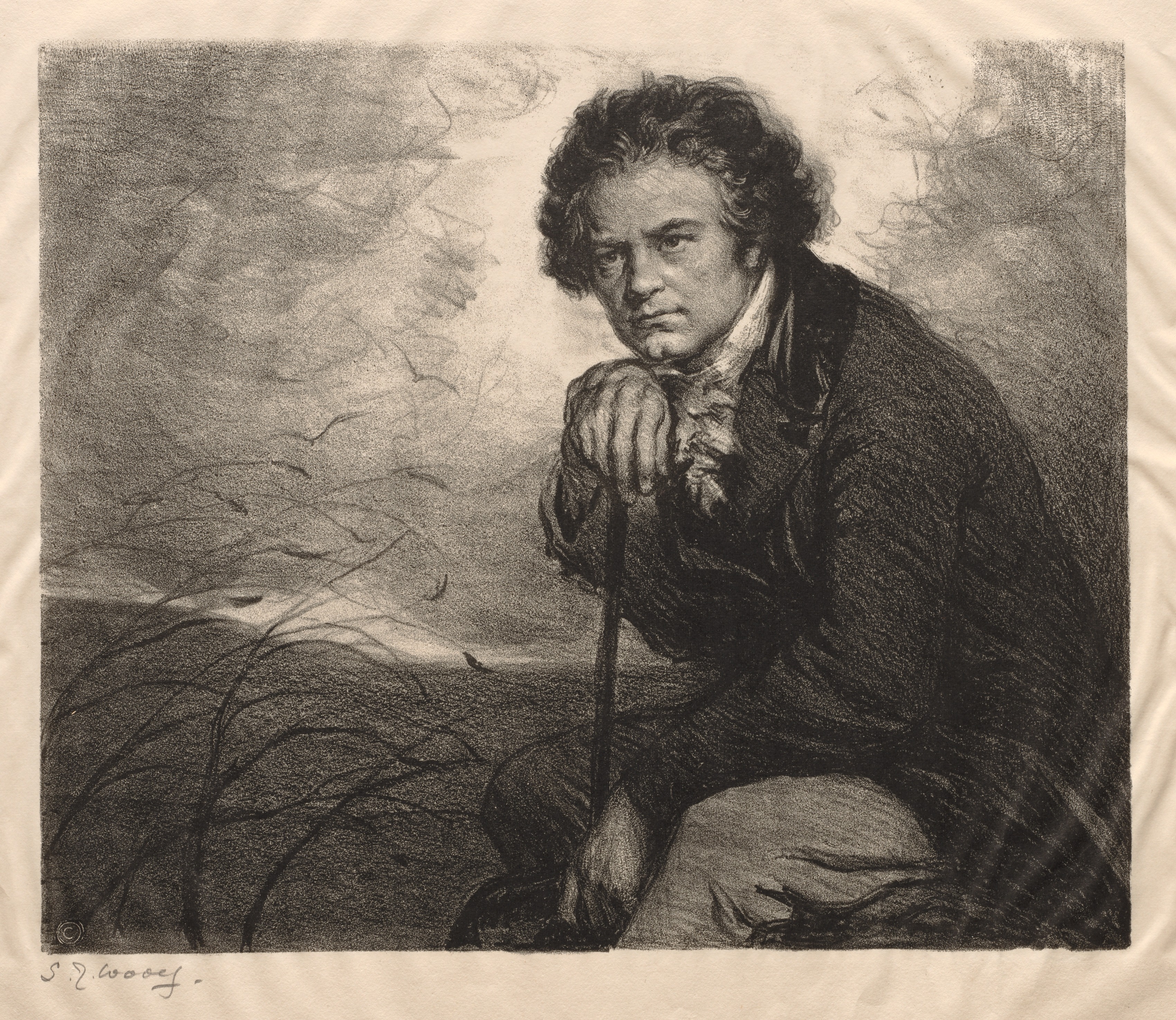 Samuel Johnson Woolf, Beethoven