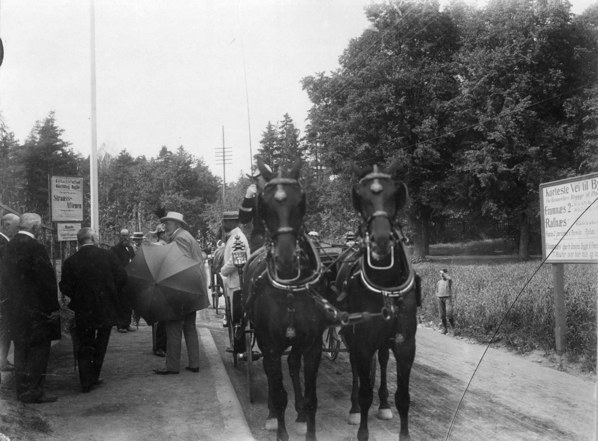 Narve Skarpmoen, Den Kulturhistoriske utstilling 1901. Kong Oscar II kommer til åpningen.
