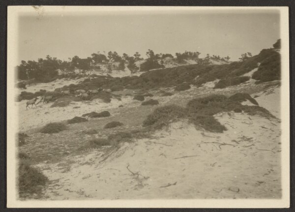 Louis Fleckenstein, [Landscape with Herd of Deer]