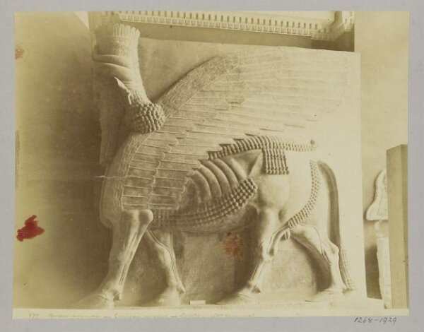 Unknown, Winged bull from Khorsabad (Sargon, 722-705 B.C.). Paris: Louvre