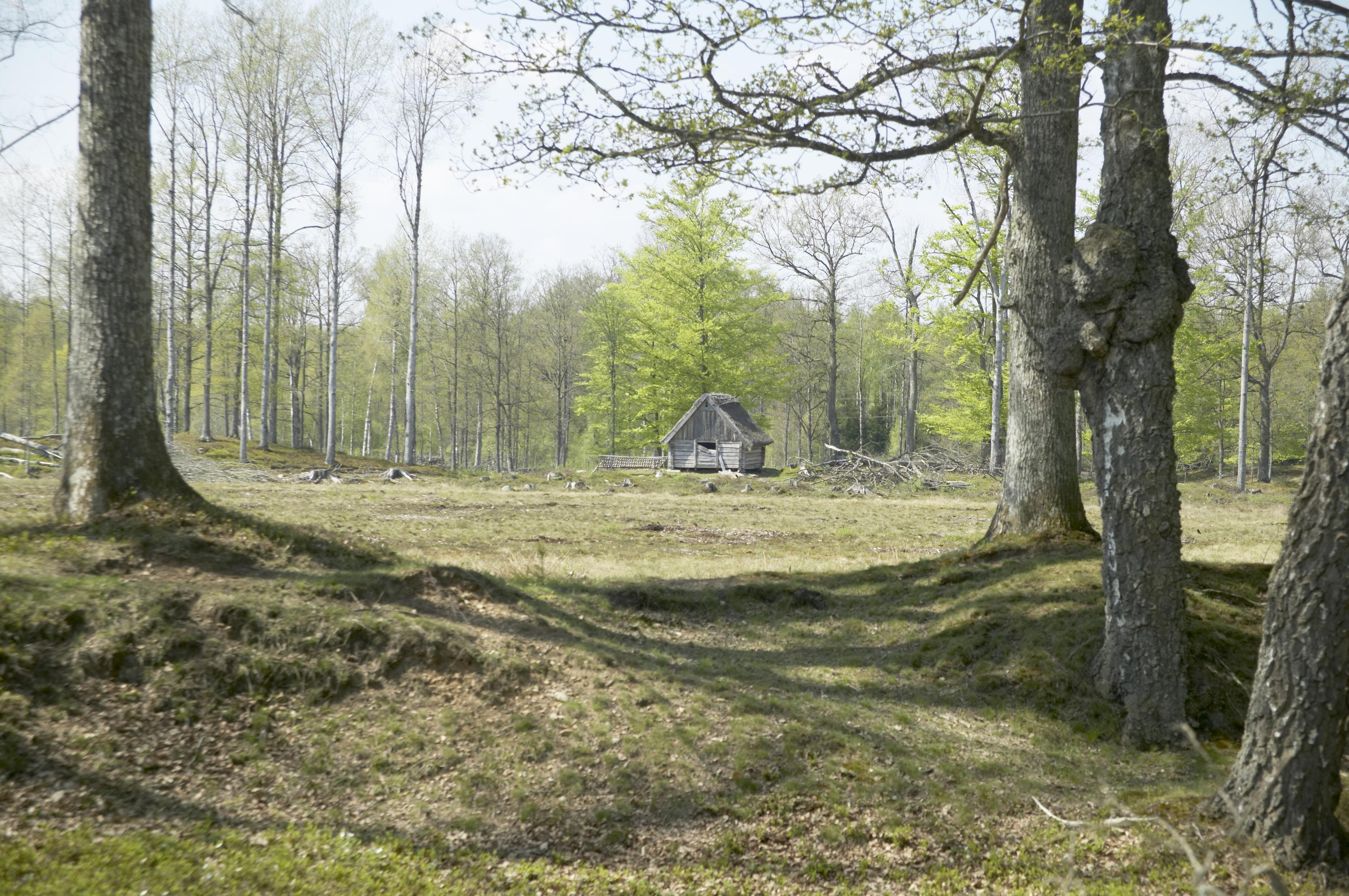 Bengt A Lundberg, Råshult