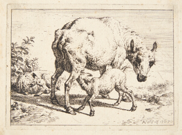 Adriaen van de Velde, Får og to lam