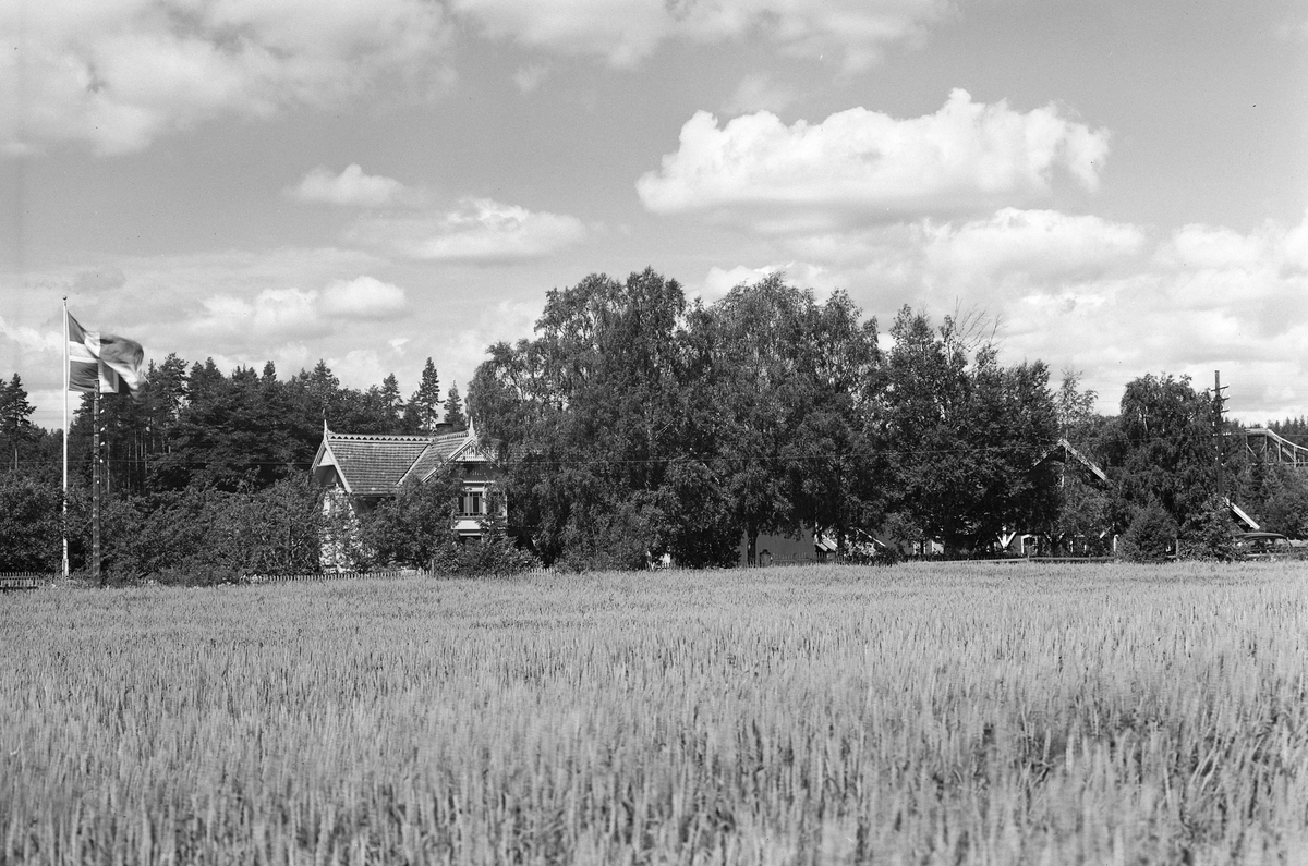 Anno Domkirkeodden, EKSTR: GARDSTUN, VOLDEN. OMANGSVOLDEN. Se Løtenboka, bind 3. Bygdeboka fra 1955, side 216