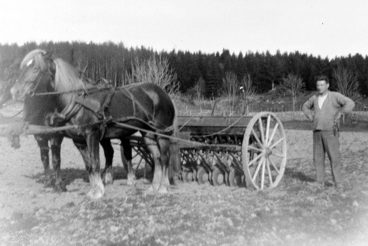 Anno Domkirkeodden, Våronn på Mørkved store, Furnes, Ringsaker i 1927. Peter Skyberg ved siden av såmaskina på låvejordet. Hester i tospann.