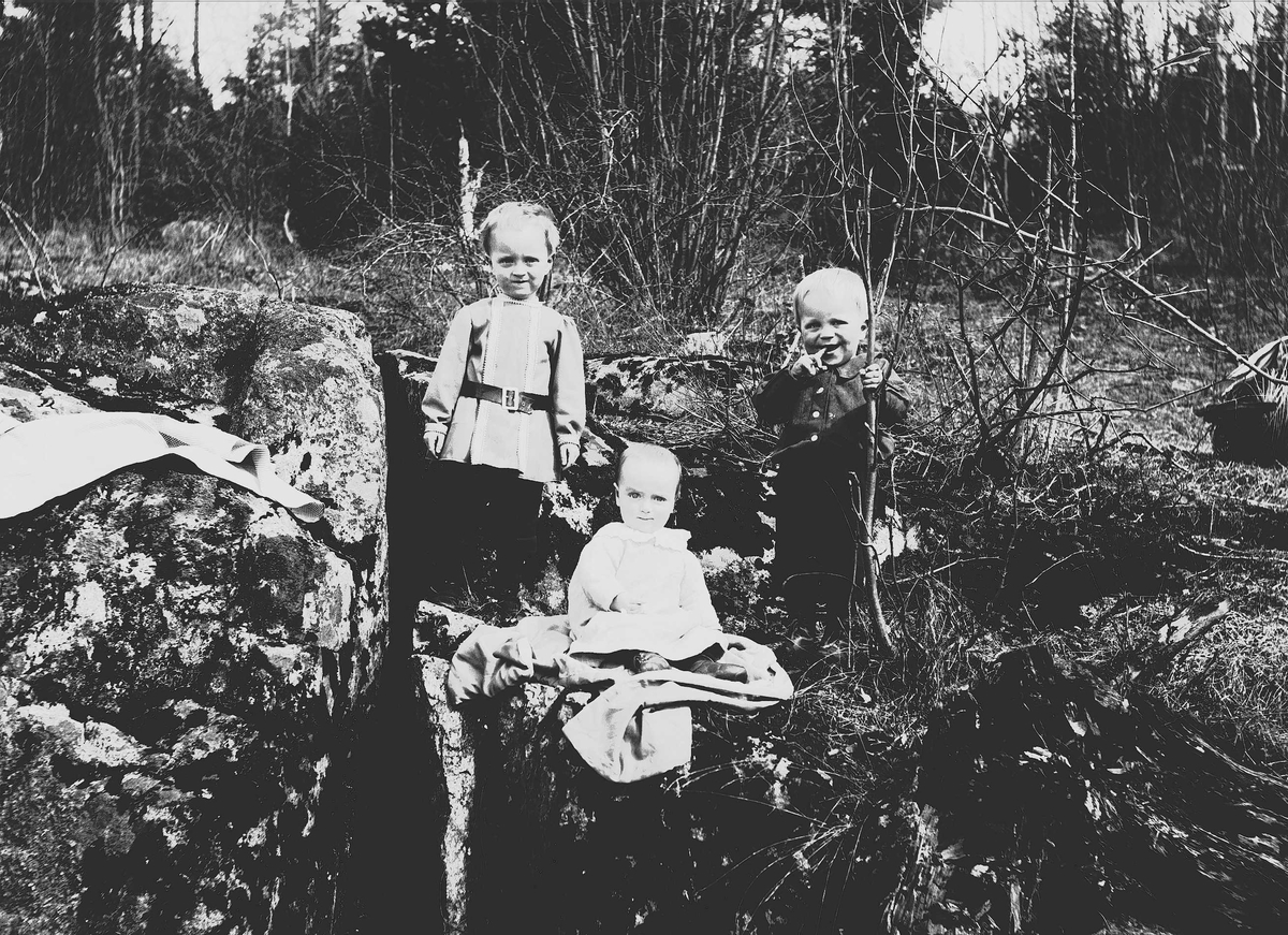 Axel Quinsgaard Wiborg, Halvor Nicolai, Simon og Thor Q. Wiborg i krattskogen, Digerud, Frogn, Akershus, mai 1906.