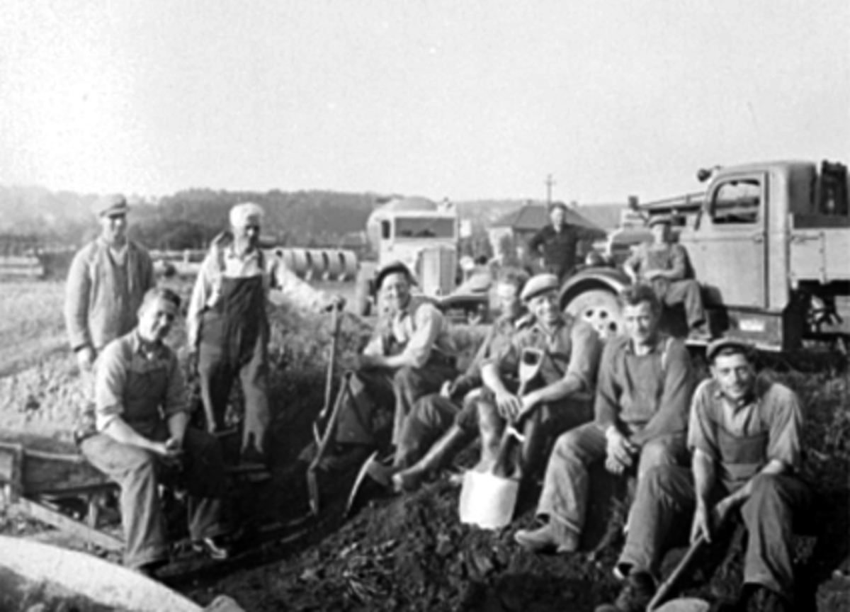 Anno Domkirkeodden, GRUPPE VEGARBEIDERE, VEGBYGGING, VEGVESEN I HAMARDISTRIKTET, TRILLEBÅR, SPADER, ANLEGGSARBEID