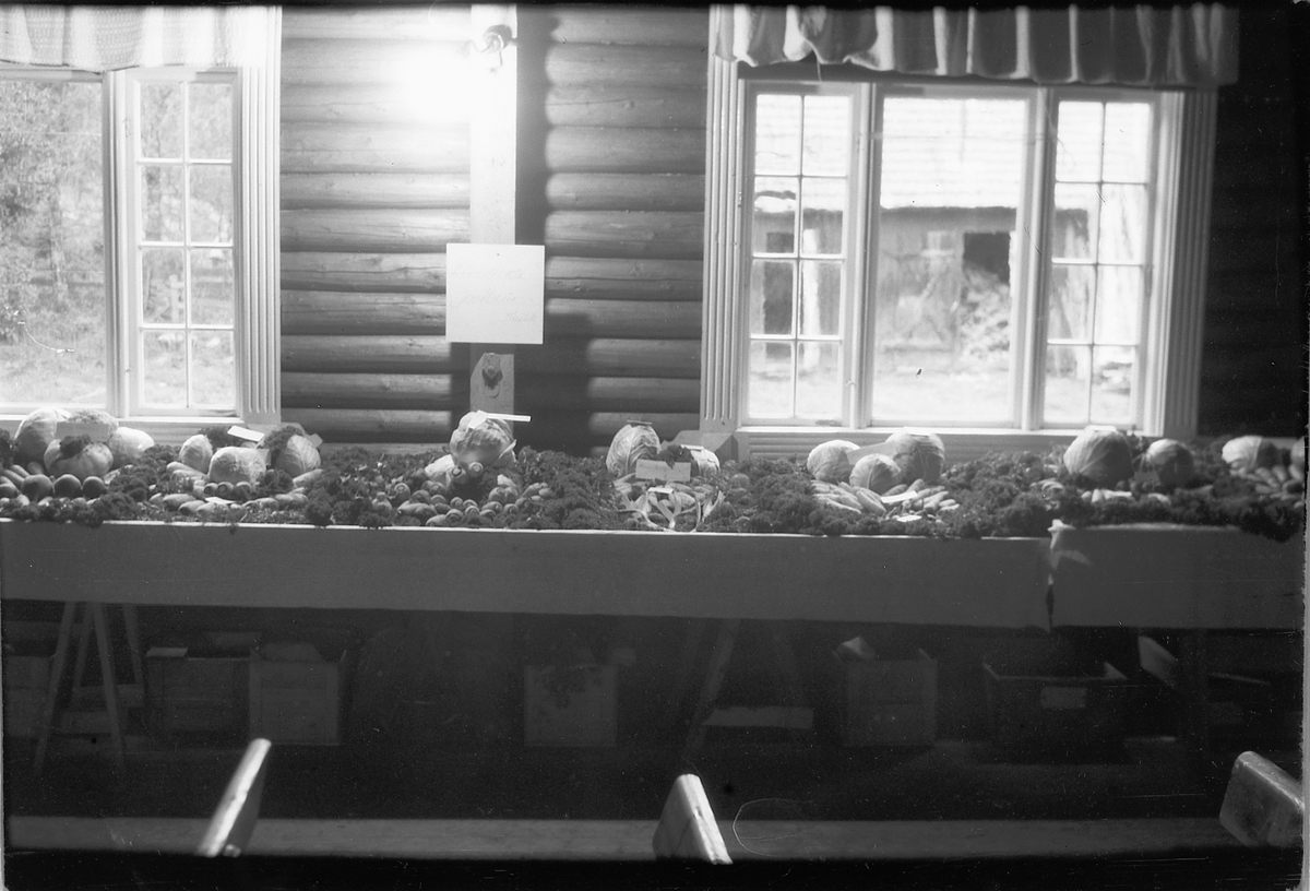 Håkon Prestkværn, Hodekål og gulrøtter på en benk. 4H-utstilling. Høstfest for klubbene i Ringsaker på Nærvang i Næroset 1948 eller 1949. De første klubbene ble startet i 1948 og oppgavene var hovedsakelig dyrking av grønnsaker, husstell og håndarbeid. På landsbasis var klubbene organisert gjennom "Landslaget for no…