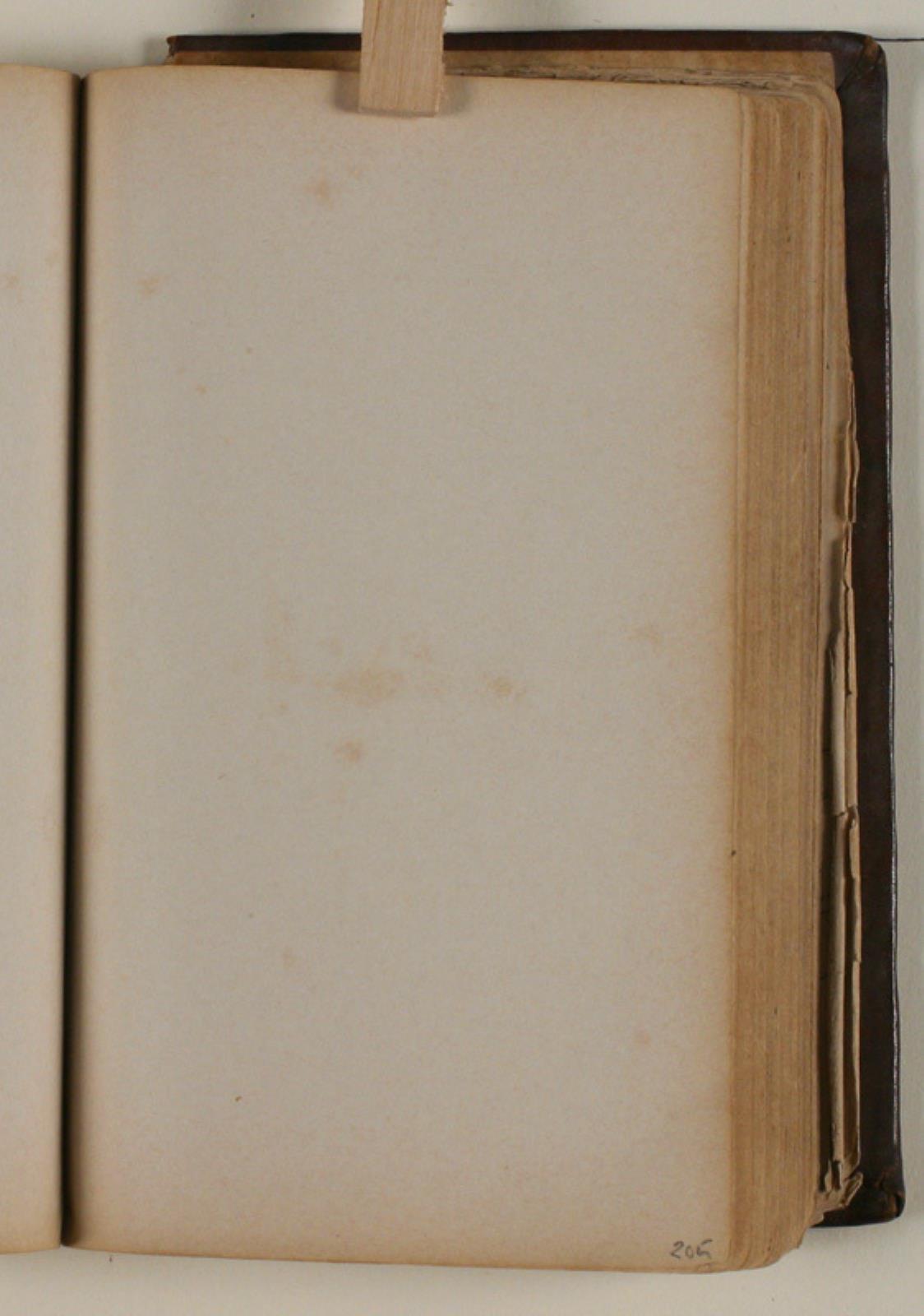 Niels Larsen Stevns, Blank