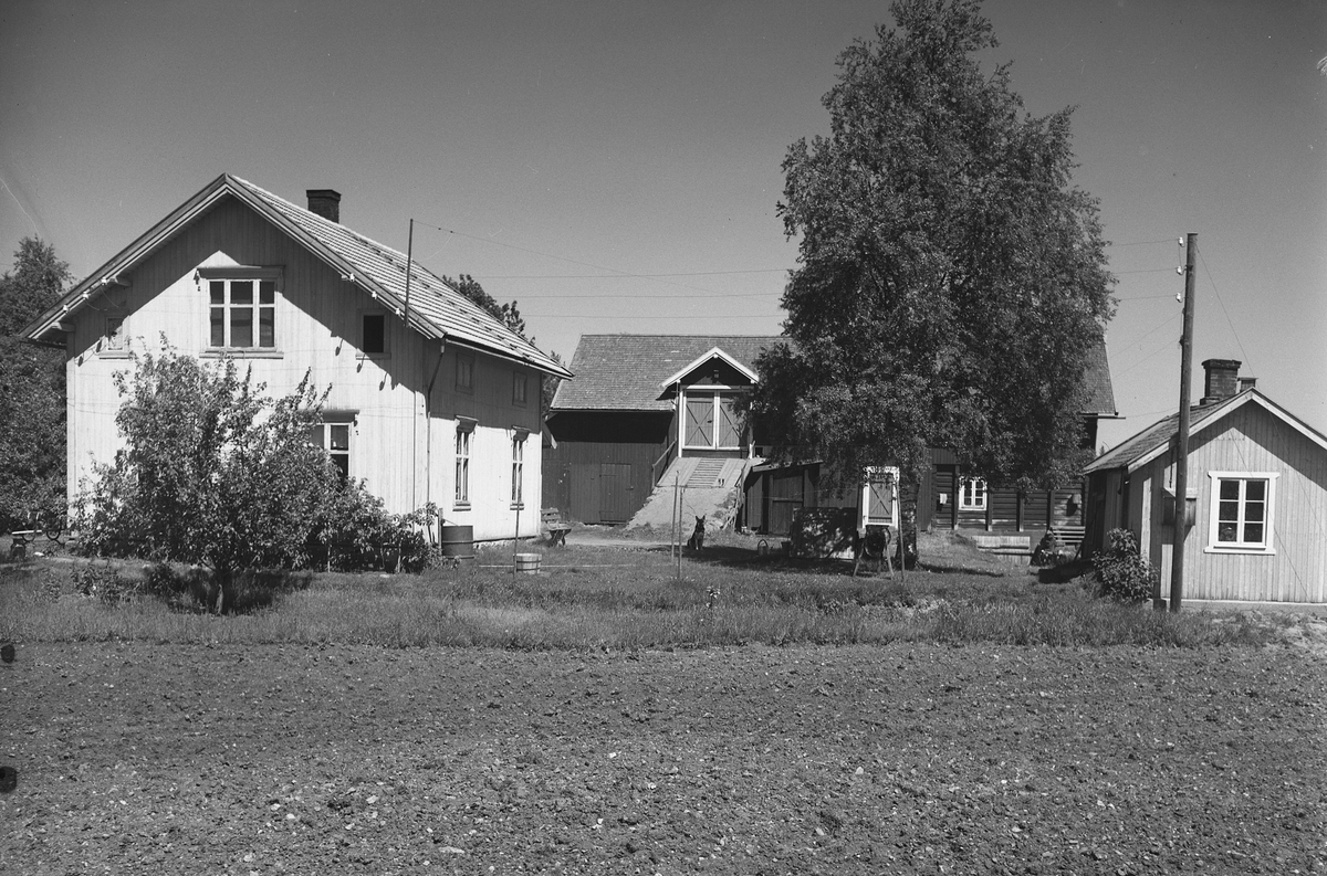 Anno Domkirkeodden, EKSTR: GARDSTUN, MYRVOLD. Se Løtenboka, bind 1. Bygdeboka fra 1949, side 345
