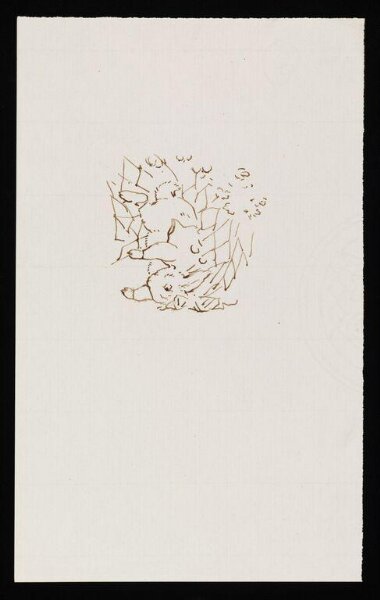 Potter, Beatrix, drawing
