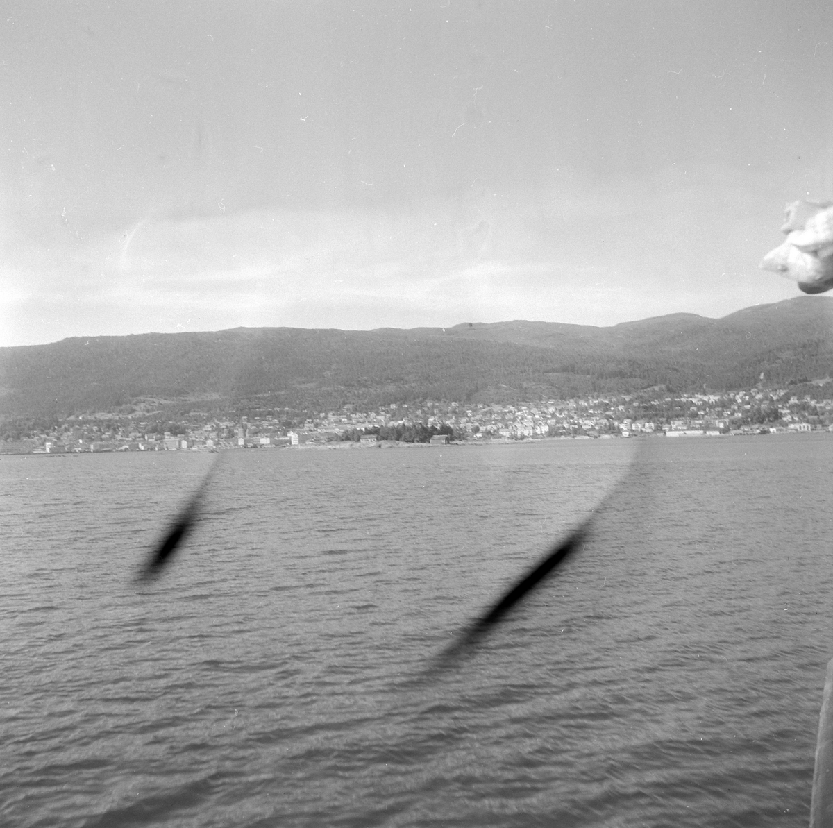 Adolf Skjegstad, ASK-03470