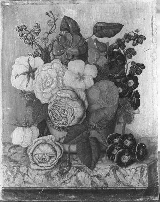 Diëgo Lopez Suasso, Bloemen