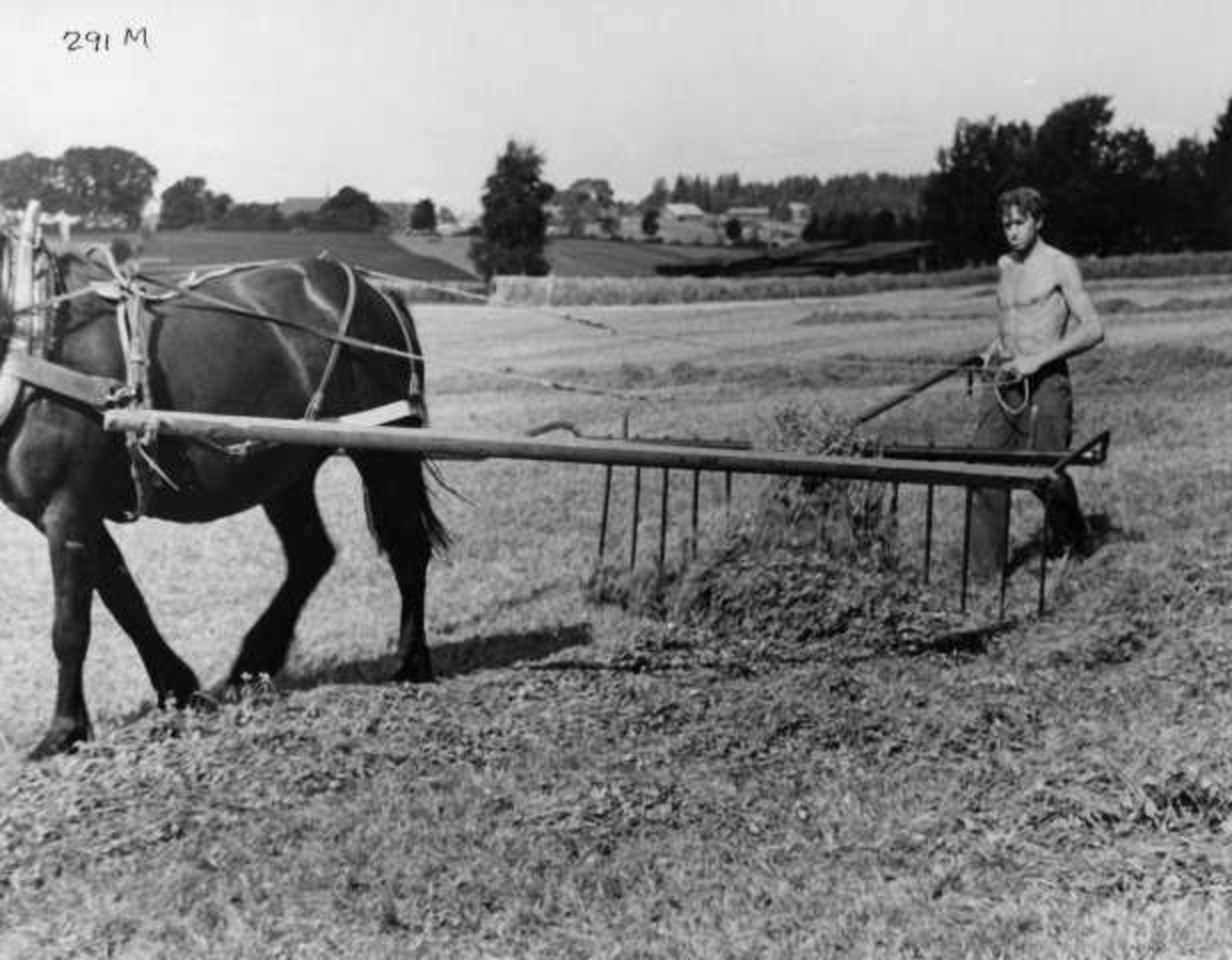 Anders Beer Wilse, -8027