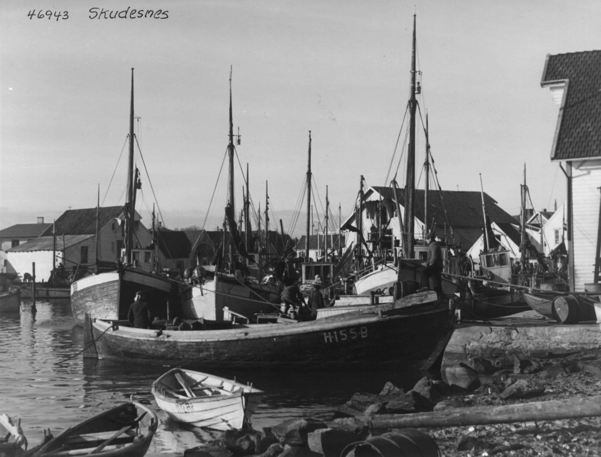 Anders Beer Wilse, Wilse original, Fiske