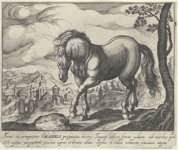 Panderen, Egbert van, (1581-1637?), (printmaker), Horse breeds: Landscape with a horse from Calabria