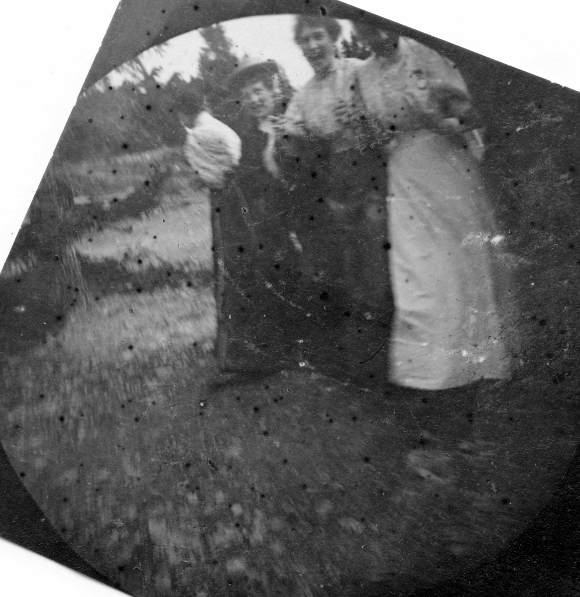 Fredrik Carl Mülertz Størmer, Golå, Sør-Fron, Oppland. Damer i skogen, nr. 2 fra venstre frøken Anna Holm, nr. 3 frøken Margit Willumsen.