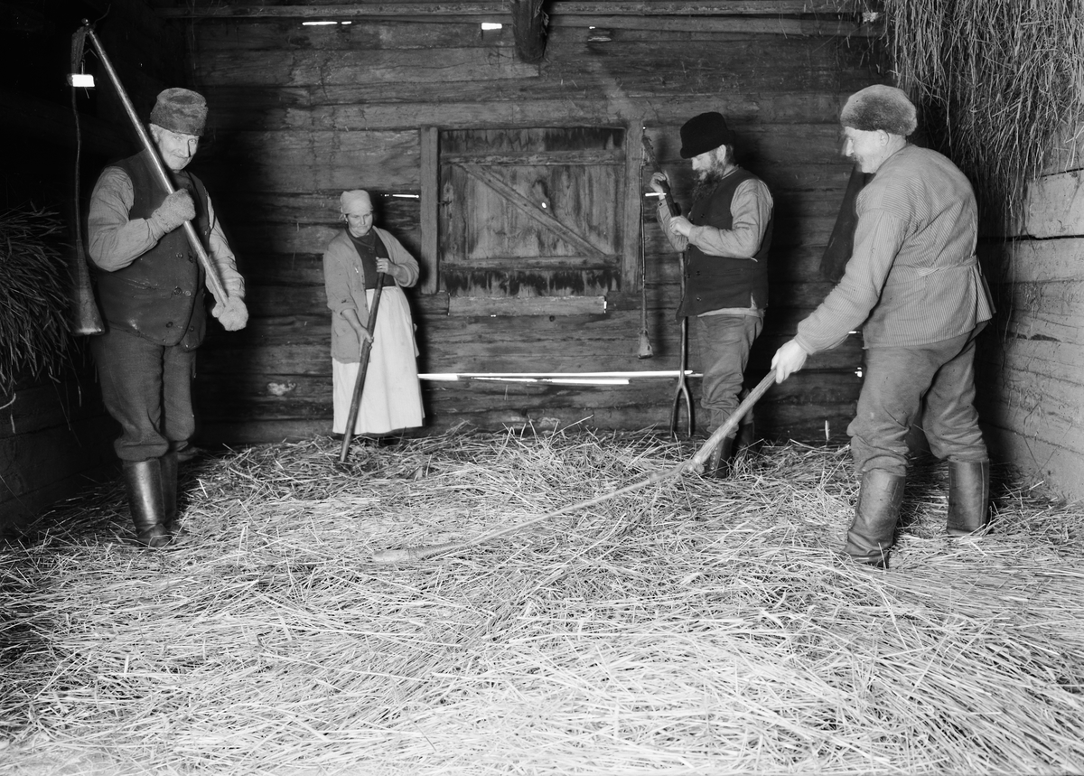 Paul Sandberg, Slagtröskning av råg, Villsberga, Biskopskulla socken, Uppland