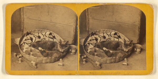 Benjamin West Kilburn, Happy Family.