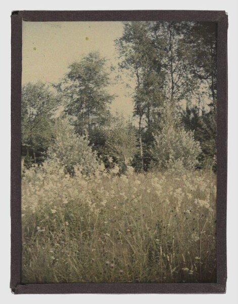 Unknown, Landscape study