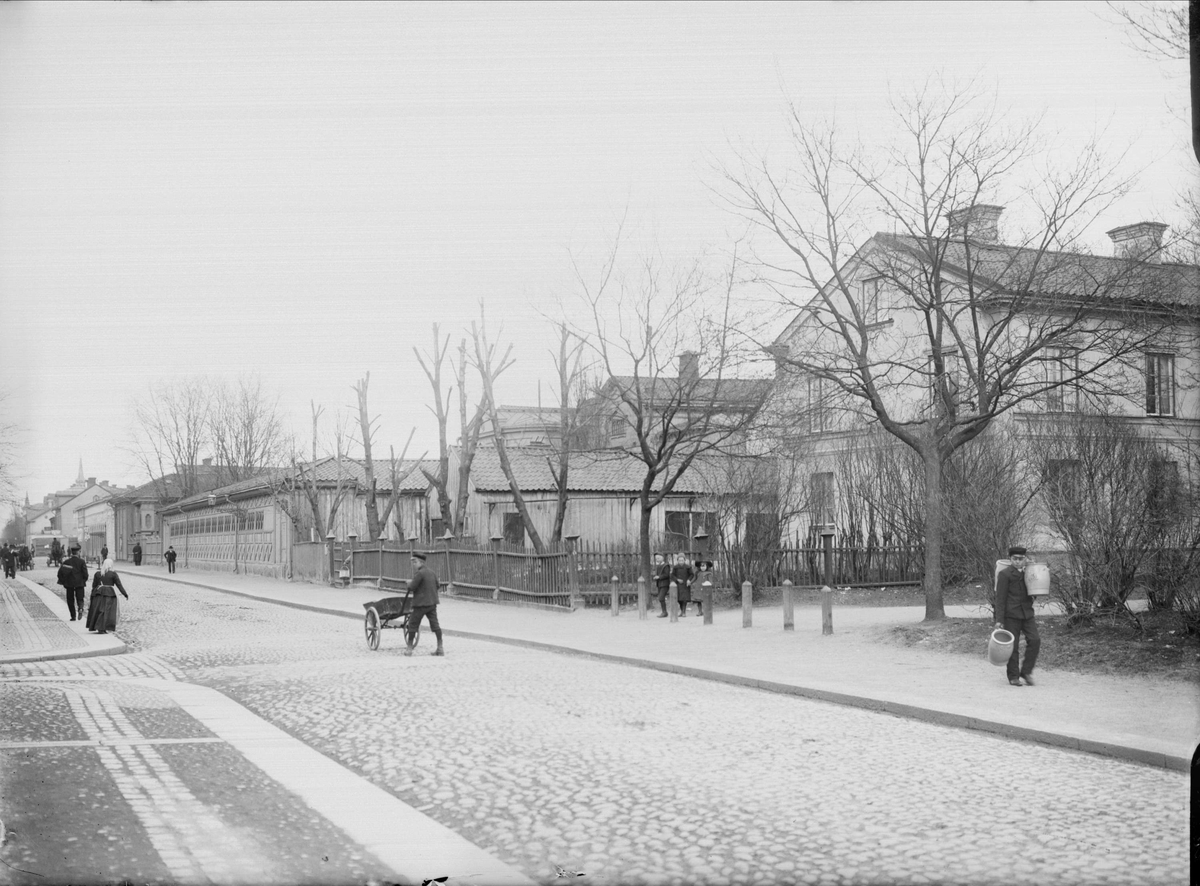 Alfred Dahlgren, Kungsgatan - Broad alley, Dragarbrunn, Uppsala 1901 - 1902