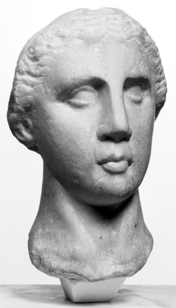 Unknown, Head of a Ptolemaic King (?)